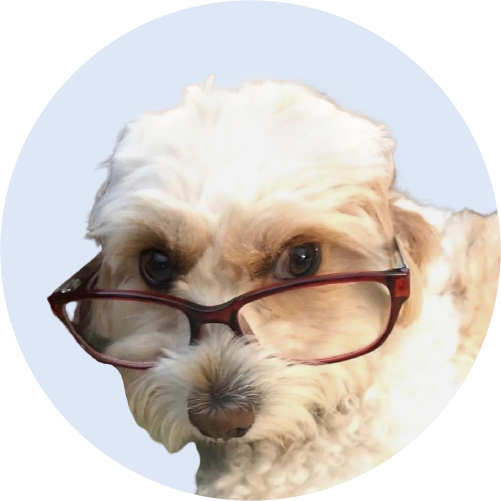Maisy