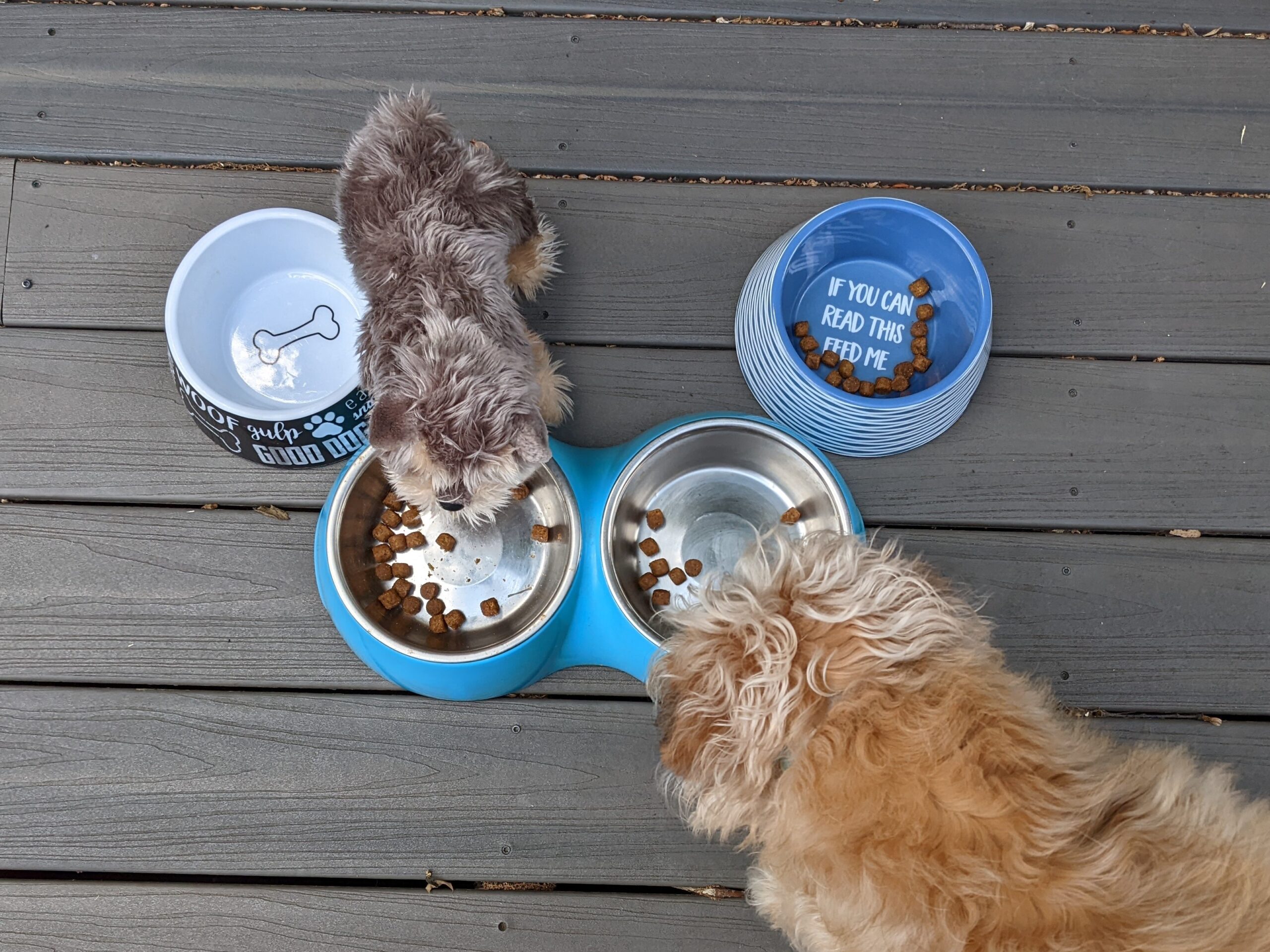 Yappy Hour Featured Image