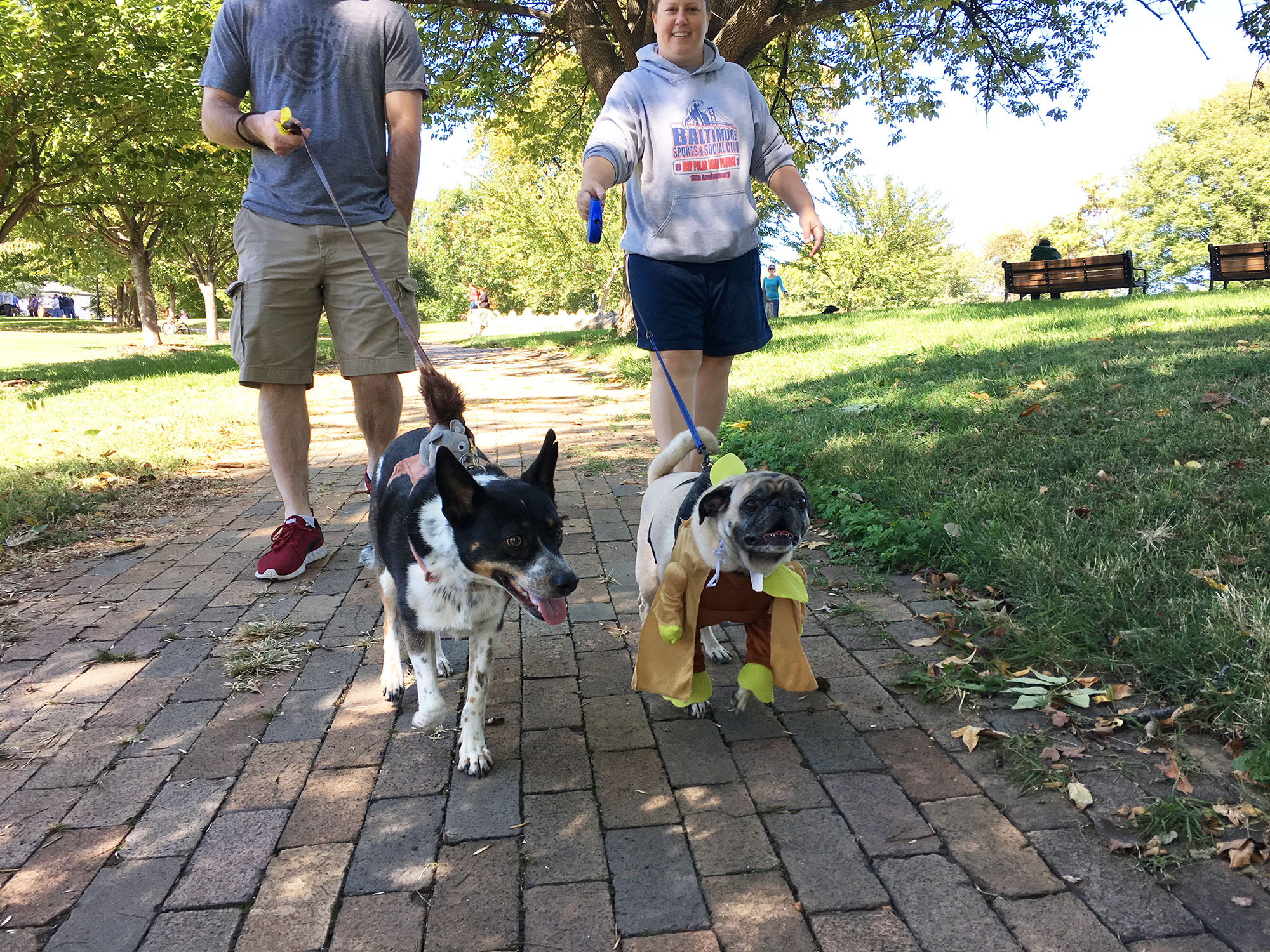 Get Out the “Zoomies” Daily Walk Club Featured Image